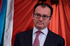 VIDEGARAY